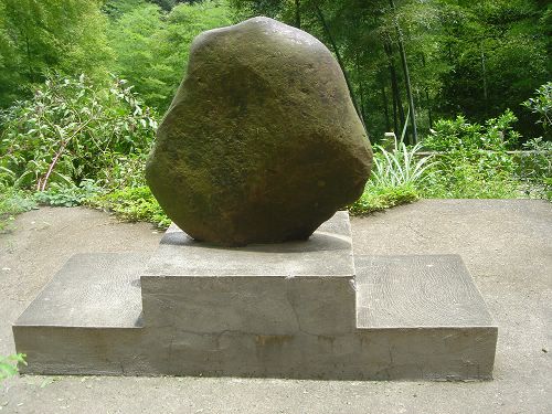 ���塤���ɹ�