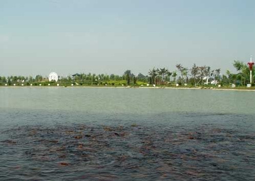 ���µ�ʮ��Ȫ