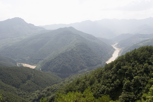 ��Ѽɽɭ�ֹ�԰