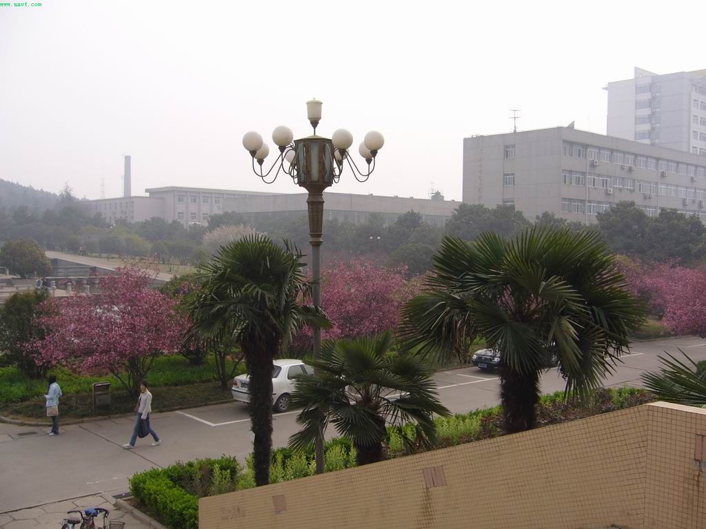 �й���ҵ��ѧ