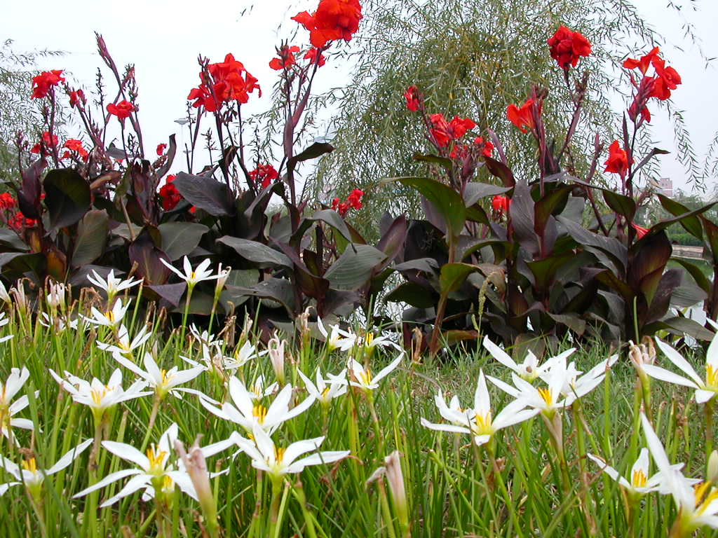 �Ͼ��ƾ���ѧ