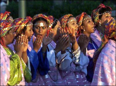 ����Ǽ�������