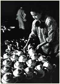 �����Ų���