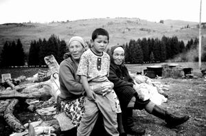 ����˹ͼ�ߴ�����Գ����ɹ����ͼ����