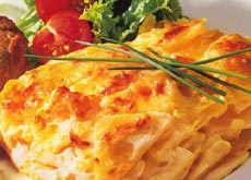 ��ʽ������������