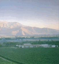 �������´������ͼƬ