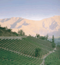 �������´������ͼƬ