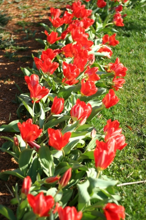 <p>ҳ�룺<a class=xg href=