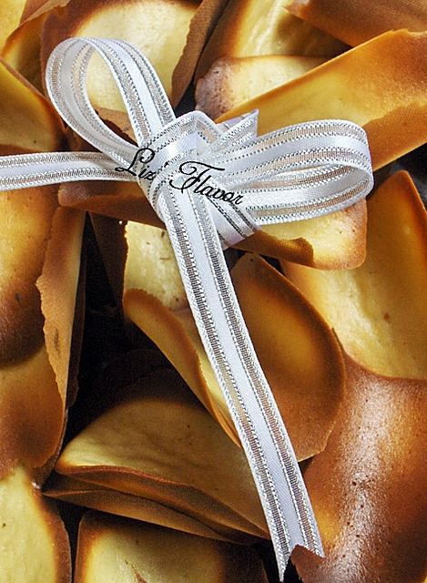 ����������~ 