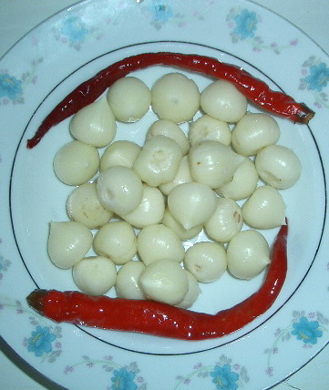 �������´������ͼƬ