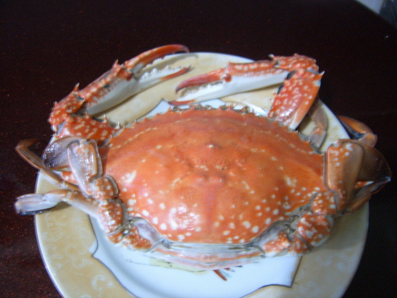 ������´��ڲ鿴ȫͼ
CTRL+�����ַŴ����С