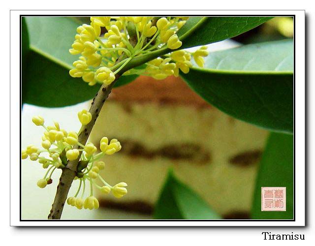 �ޱ���20060918120525 