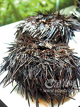 �� ��: 1582252 ������
��Ӱ����: ����
�ļ���:yzbspl58142.jpg����
�ļ���С:55K����
�� X ��:350 X 263����
˵��:yzbspl58142.jpg