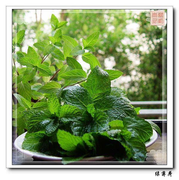 �Լ��ֵı��� 