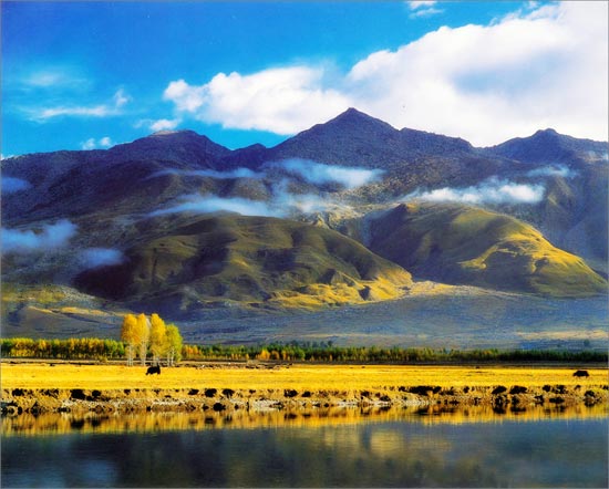 ����һ������ͼ������ɷŴ󡣰�סCTRL�����������ֿ���������