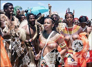 ?_��������Ϊ���и��ջ��ɷ�(ͼ)_��;������