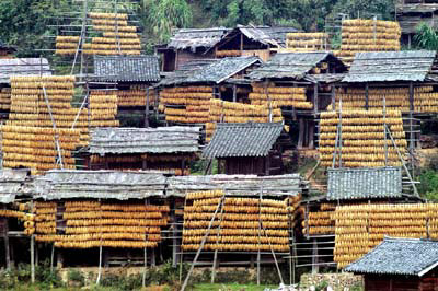 �� ��: 357617 ������
��Ӱ����: ����
�ļ���:yzblyc74244.jpg����
�ļ���С:K����
�� X ��:266 X 400����
˵��:yzblyc74244.jpg