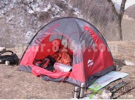 �������� ŵ���ľ�ӥ��С��̨���Լ�