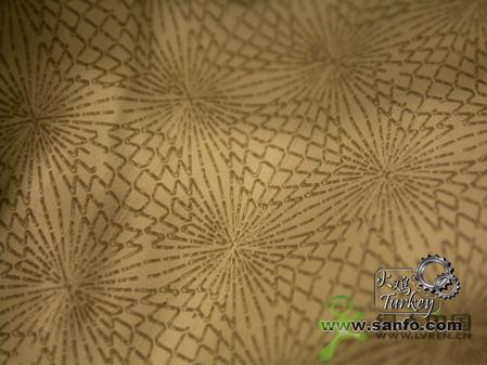 ģ���ĸ���-Patagonia spraymaster����