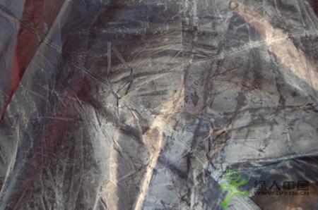 Ferrino��ɽ��Monster Lite��ɽ����