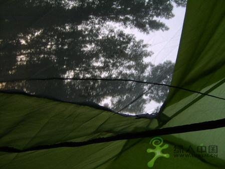 ��������-���ߵѷ���