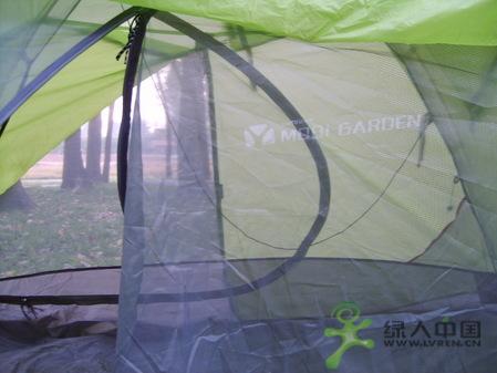 ��������-���ߵѷ���