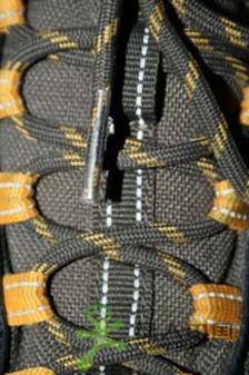 ��������������-�˱ȵ�TS801XCRͽ��Ь����