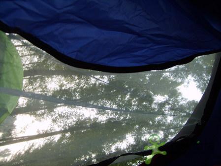 ����������ʱ��-SCALER ����������