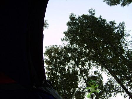 ����������ʱ��-SCALER ����������