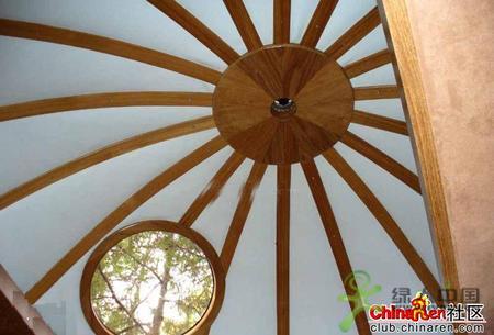 ���ⳬ��ţ�ĳ���"����"-����