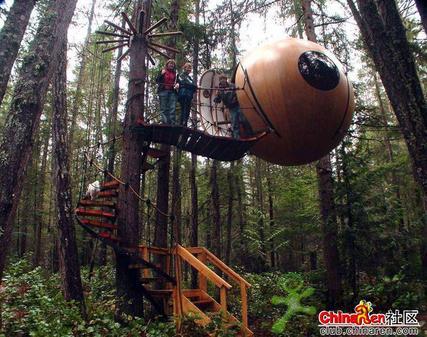 ���ⳬ��ţ�ĳ���"����"-����