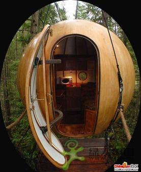 ���ⳬ��ţ�ĳ���"����"-����