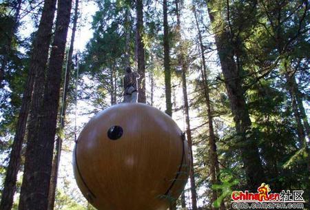 ���ⳬ��ţ�ĳ���"����"-����