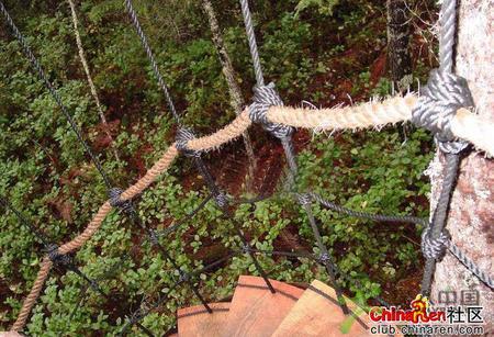 ���ⳬ��ţ�ĳ���"����"-����