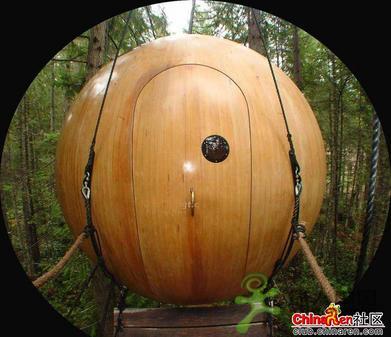 ���ⳬ��ţ�ĳ���"����"-����