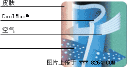 �������´������ͼƬ