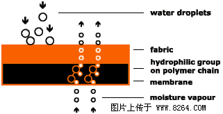 �������´������ͼƬ