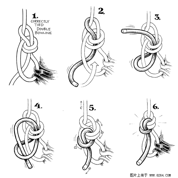 �������´������ͼƬ