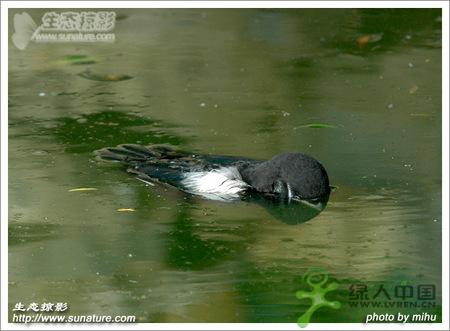 Ϊ����������������