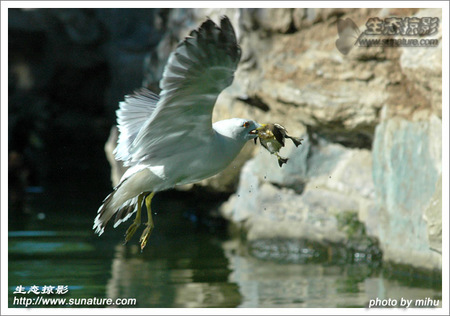 Ϊ����������������