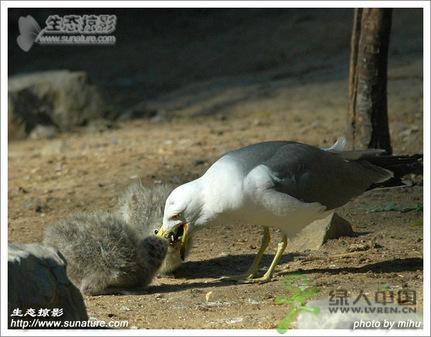 Ϊ����������������