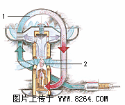 �������´������ͼƬ