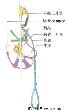 �������´������ͼƬ