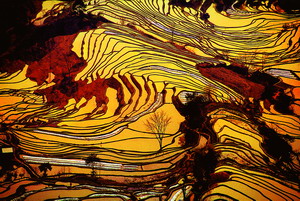 ��Ӱ��õ��Ӿ�֮��[0]