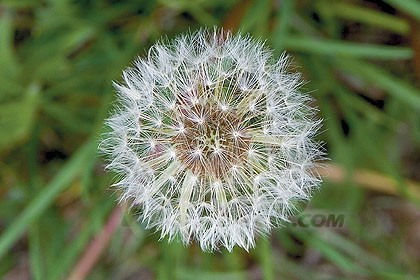 ������´���