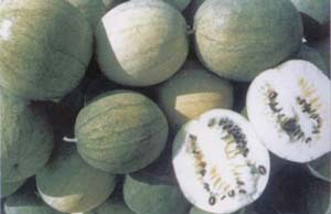 ���ݴ�塪���ڹ���