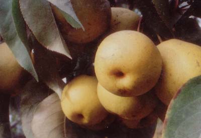 ��ി��������