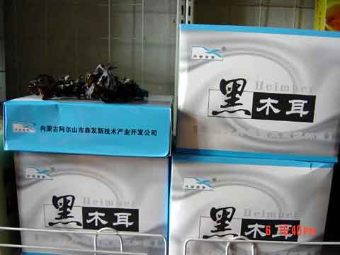 �˰����ز�:��ľ��