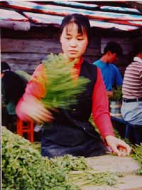 �˰����ز�:ާ ��