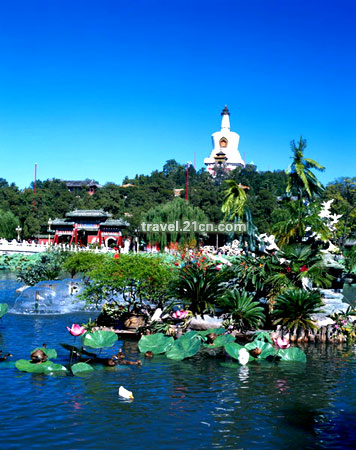 ������С��Ѫƴ��ʱ��С����ȫ�ֲ�